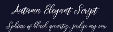 Autumn Elegant Script by Fadhil Aqsa — Script Handwritten Font — thumbnail 2
