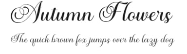 Autumn Flowers by Miftah Arzaq — Script Handwritten Font — thumbnail 1