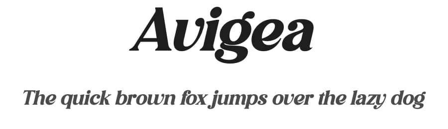 Avigea by Storytype Studio — Serif Font
