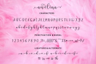 Awelina Script Font by supotype — Script Handwritten Font — thumbnail 7