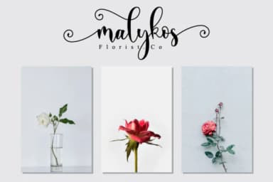 Ayalda Font by NissaStudio — Script Handwritten Font — thumbnail 4