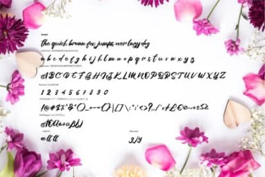 Azala Font by Vunira — Script Handwritten Font — thumbnail 6