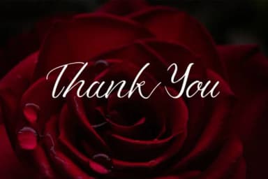 Azkadina Font by Doehantz Studio — Script Handwritten Font — thumbnail 7