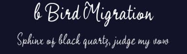 b Bird Migration by wepfont.com — Script Handwritten Font — thumbnail 2