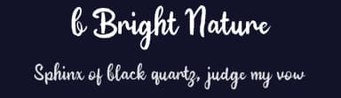 b Bright Nature by wepfont.com — Script Handwritten Font — thumbnail 2