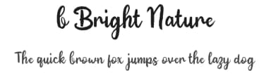 b Bright Nature by wepfont.com — Script Handwritten Font — thumbnail 1
