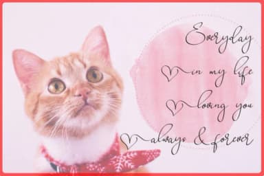 Babes & Bridal Font by aldedesign — Script Handwritten Font — thumbnail 5