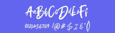 Baby Boomer by Dirtyline Studio — Script Handwritten Font — thumbnail 3