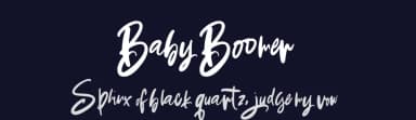 Baby Boomer by Dirtyline Studio — Script Handwritten Font — thumbnail 2