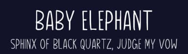 Baby Elephant by Md Shohail Bhuian — Script Handwritten Font — thumbnail 2