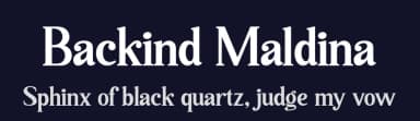 Backind Maldina by Multype Studio — Serif Font — thumbnail 2