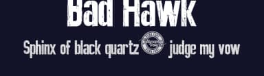 Bad Hawk by Calligraphy Fonts — Sans Serif Font — thumbnail 2