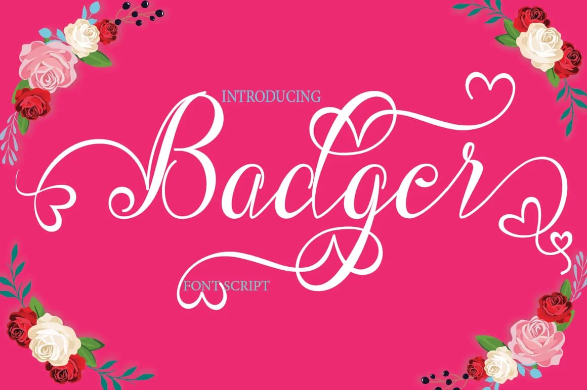 Badger Font by naldystudio — Script Handwritten Font — preview 1
