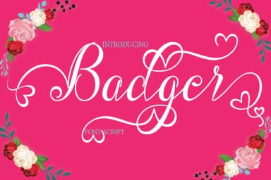 Badger Font by naldystudio — Script Handwritten Font — thumbnail 1
