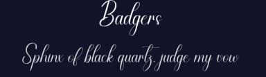 Badgers by Scratchones — Script Handwritten Font — thumbnail 2