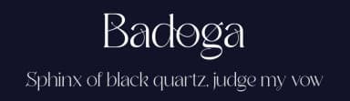 Badoga by Storytype Studio — Serif Font — thumbnail 2