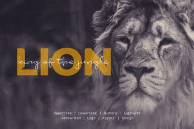 Badrudin Font by Odbrand Desain — Script Handwritten Font — thumbnail 3