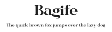 Bagife by Storytype Studio — Serif Font — thumbnail 1