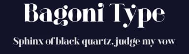 Bagoni Type by Attract Studio — Serif Font — thumbnail 2