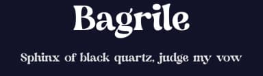 Bagrile by Storytype Studio — Serif Font — thumbnail 2