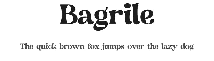 Bagrile by Storytype Studio — Serif Font
