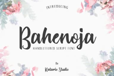 Bahenoja Font by Katario Studio — Script Handwritten Font — thumbnail 1