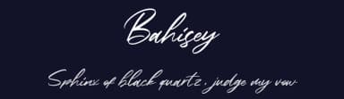 Bahisey by StringLabs Creative Studio — Script Handwritten Font — thumbnail 2