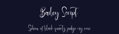 Bailey Script by Kong Font — Script Handwritten Font — thumbnail 2