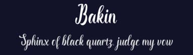 Bakin by Rama type — Script Handwritten Font — thumbnail 2