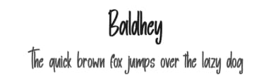 Baldhey by Skiiller Studio — Script Handwritten Font — thumbnail 1