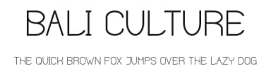 Bali Culture by Rangga Putra Budi Pratama — Sans Serif Font — thumbnail 1