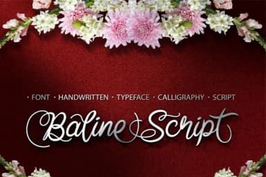 Baline Script Font by Cove703 — Script Handwritten Font — thumbnail 1