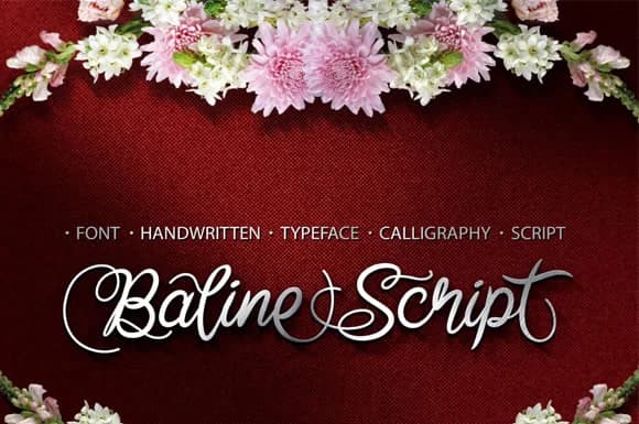 Baline Script Font by Cove703 — Script Handwritten Font