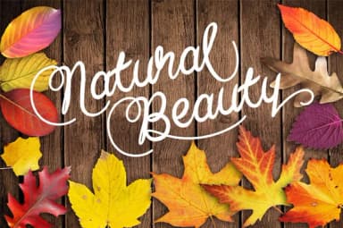 Baline Script Font by Cove703 — Script Handwritten Font — thumbnail 6