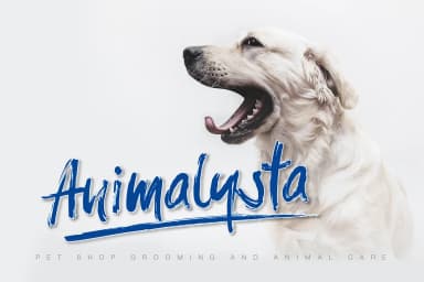 Balistroke Font by Cove703 — Script Handwritten Font — thumbnail 2