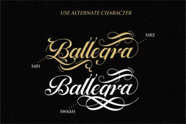 Ballegra Font by typelinestudio — Script Handwritten Font — thumbnail 9