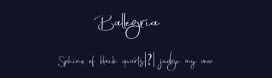 Ballegria by Typeline Studio — Script Handwritten Font — thumbnail 2