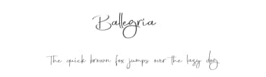 Ballegria by Typeline Studio — Script Handwritten Font — thumbnail 1