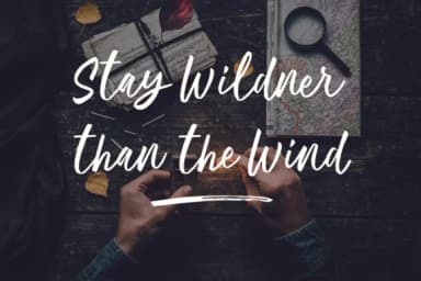 Ballerina Font by Geranium.co —  Font — thumbnail 3