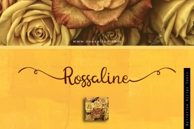 Ballerine Font by Delafa — Script Handwritten Font — thumbnail 2