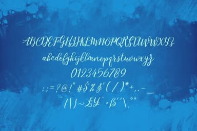 Balliget Font by typeholish — Script Handwritten Font — thumbnail 2