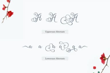 Ballita Script Font by Holydie Studio — Script Handwritten Font — thumbnail 5