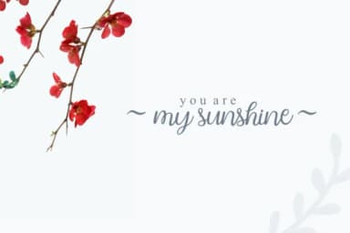 Ballita Script Font by Holydie Studio — Script Handwritten Font — thumbnail 8