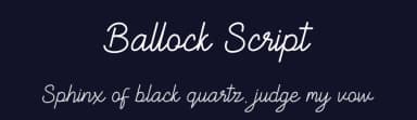 Ballock Script by skillyasstudio.com — Script Handwritten Font — thumbnail 2
