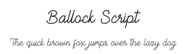 Ballock Script by skillyasstudio.com — Script Handwritten Font — thumbnail 1