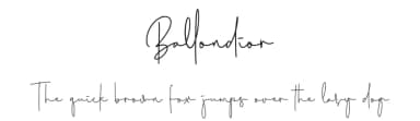 Ballondior by Abo Daniel Studio — Script Handwritten Font — thumbnail 1
