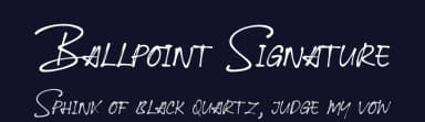 Ballpoint Signature by Viswell Studio — Script Handwritten Font — thumbnail 2