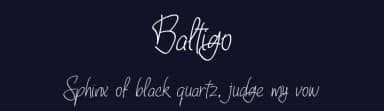Baltigo by Nico Muslib — Script Handwritten Font — thumbnail 2