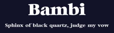 Bambi by Gerard E. Bernor — Serif Font — thumbnail 2