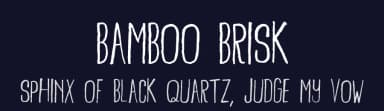 Bamboo Brisk by Skyhaven Fonts — Script Handwritten Font — thumbnail 2